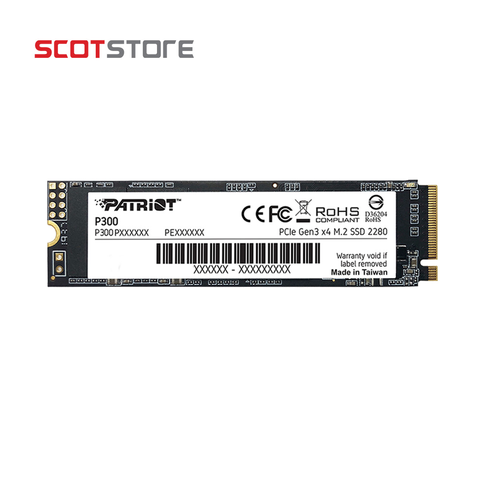قیمت اس اس دی پاتریوت 256GB P300